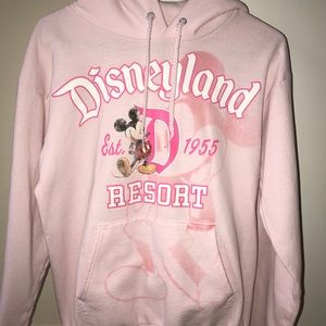 Disneyland Resort Park authentic hoodie